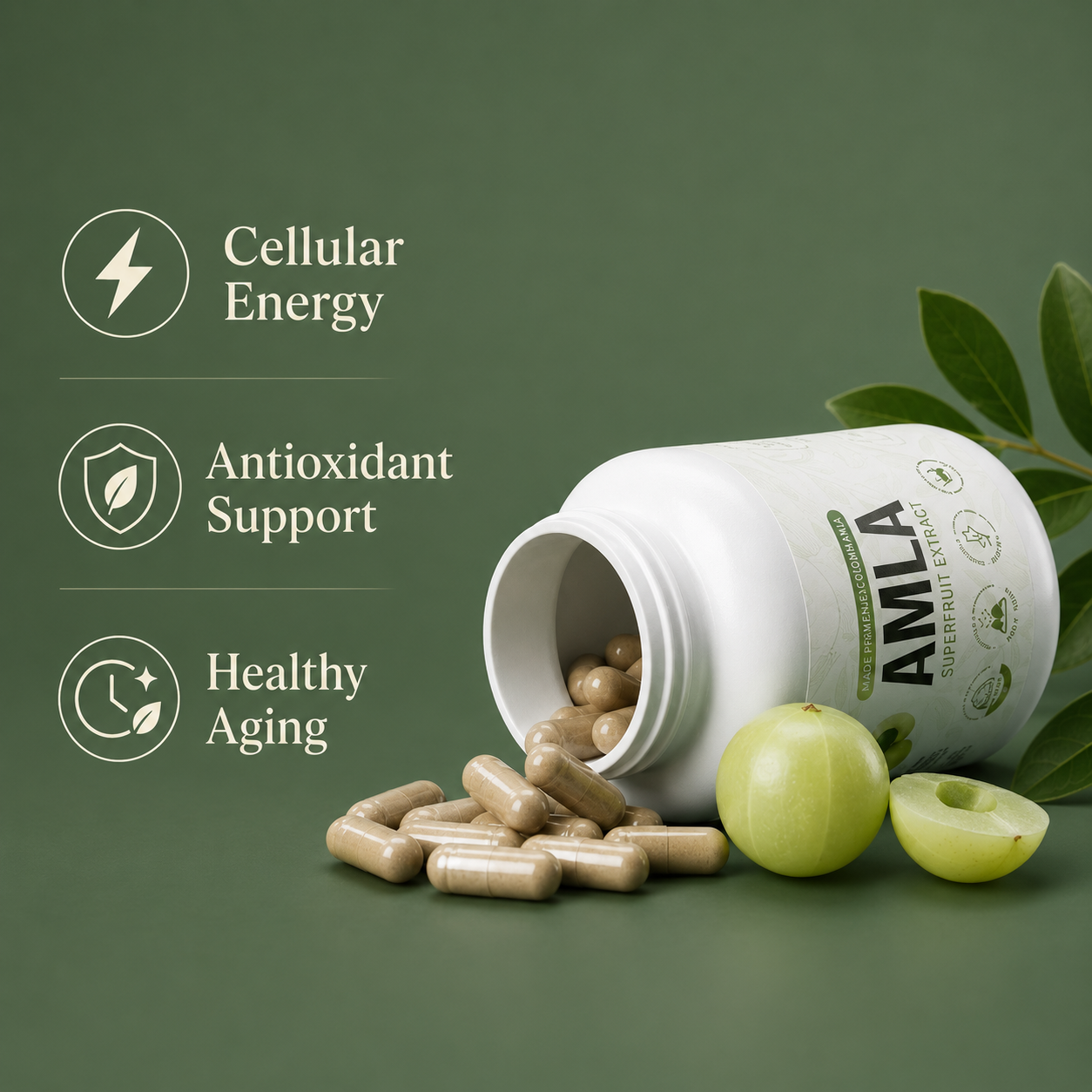 Vérayne Organic Amla Extract